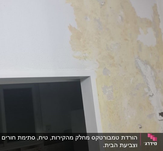 קיר עם קילופי צבע והכנה לצביעה